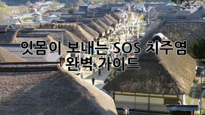 잇몸이 보내는 SOS! 치주염 완벽 가이드