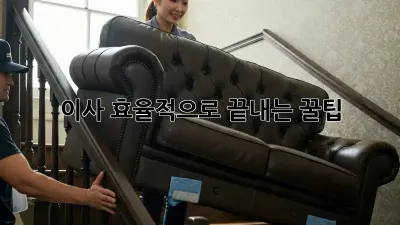 이사, 효율적으로 끝내는 꿀팁!